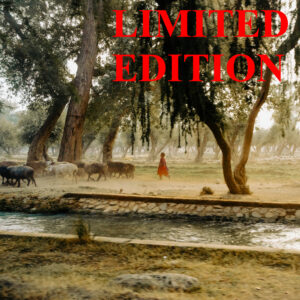 Her Flock (LIMITED EDITION)